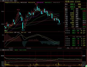 黑色系晚間高空為主,商品期貨多數(shù)震蕩偏強(qiáng)